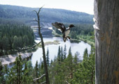Finnish nature - Visit Finland